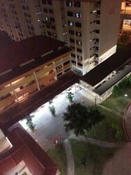 Blk 45 Blangah Court (Bukit Merah), HDB 2 Rooms #323513621